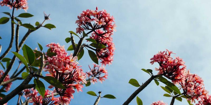 在奥扎克湖沿岸州立公园寻找宁静湖泊与日式禅意：一场自然风光的深度疗愈之旅