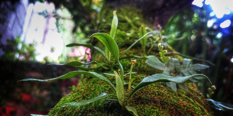 奥扎克湖56号：在密苏里山水间，邂逅日式禅意的治愈之旅