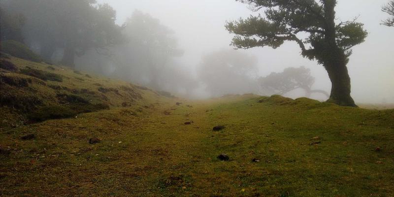 奥扎克湖74号:在密苏里山水间,邂逅一片日式禅意
