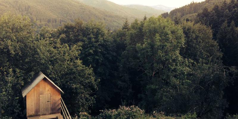 奥扎克湖94号：在密苏里山水间，寻觅日式禅意的旅行指南