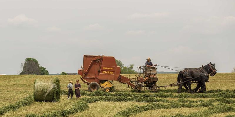 奥扎克湖98：探索密苏里宁静湖泊的终极旅游攻略