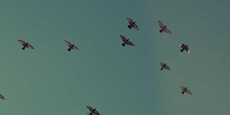 奥扎克湖商务会议与团队建设胜地：在宁静湖泊中激发创新与协作