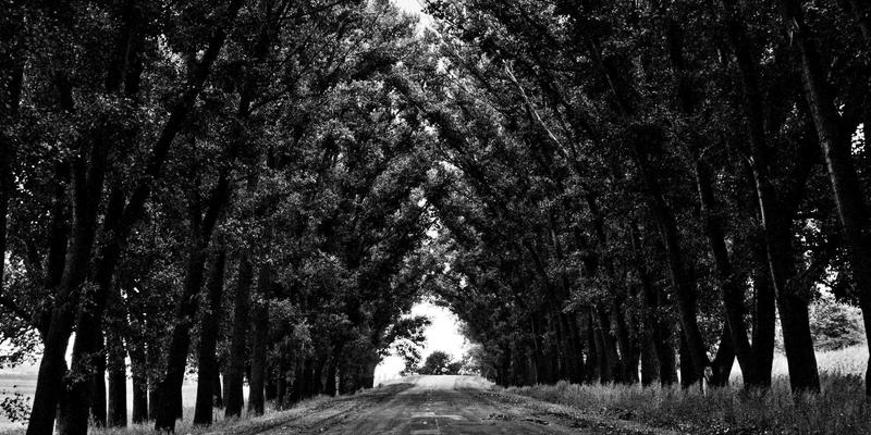 奥扎克湖度假寻宝指南：探秘中西部乡村古董店与跳蚤市场的复古收藏