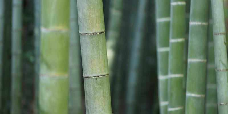 奥扎克湖：探寻美国中部宁静湖泊的完美度假指南