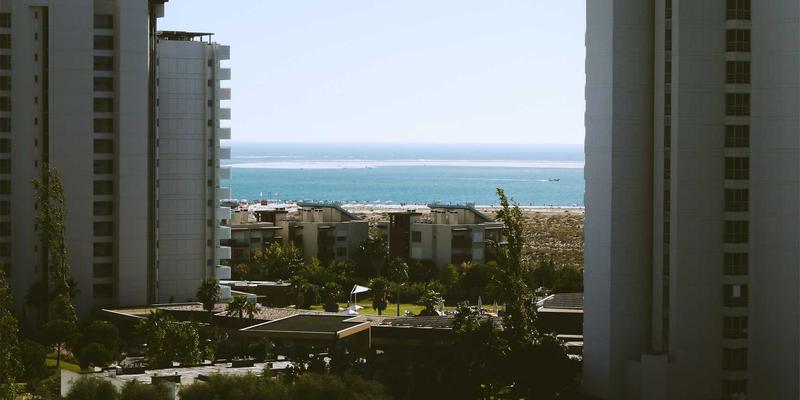 奥扎克湖旅行指南：探寻鲈鱼、猫鱼与鳟鱼的栖息地，体验生态保护的日式禅意