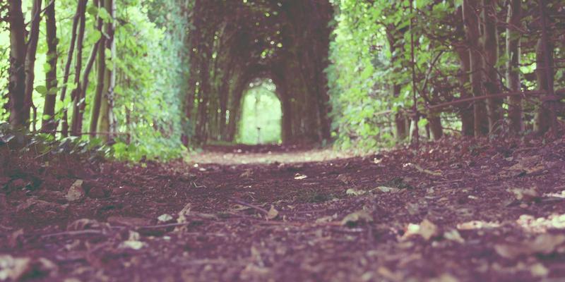 奥扎克湖水上木屋建造与设计灵感：打造你的梦幻湖畔隐居所 | 度假推荐与旅行指南