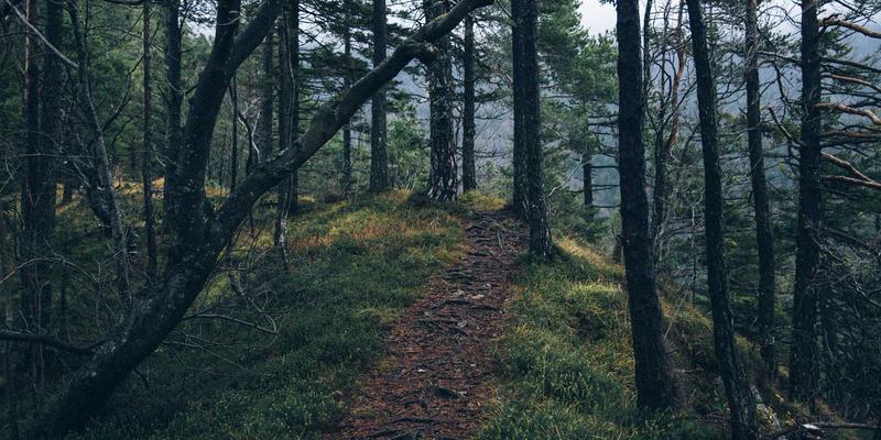 奥扎克湖沿岸历史小镇巡礼：从布兰森到欧扎克的百年变迁与宁静湖泊之旅