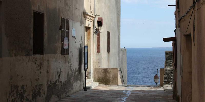 奥扎克湖观鸟指南：在迁徙水禽与本土猛禽的栖息地，寻找一份日式禅意