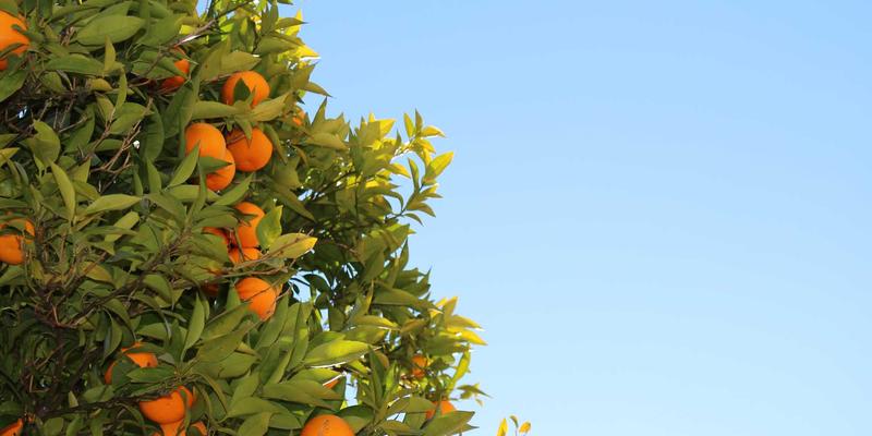 奥扎克湖进阶指南：不止于湖光山色，解锁深度度假体验与实用攻略