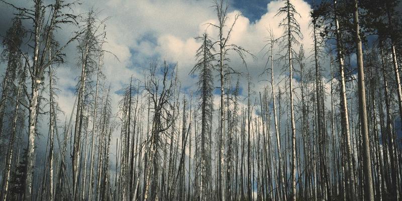 奥扎克湖：隐匿于群山间的宁静宝石，自然爱好者的终极度假天堂