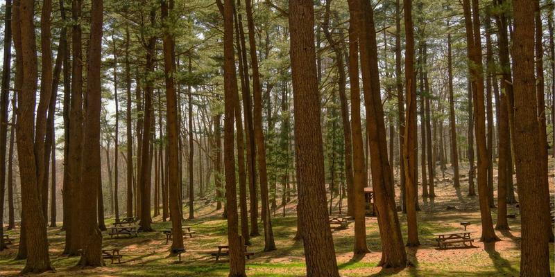 奥扎克湖隐秘湾流独木舟探险：一份融合日式禅意的深度度假攻略